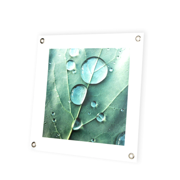 Affiche de jardin extra Affiche de jardin extra