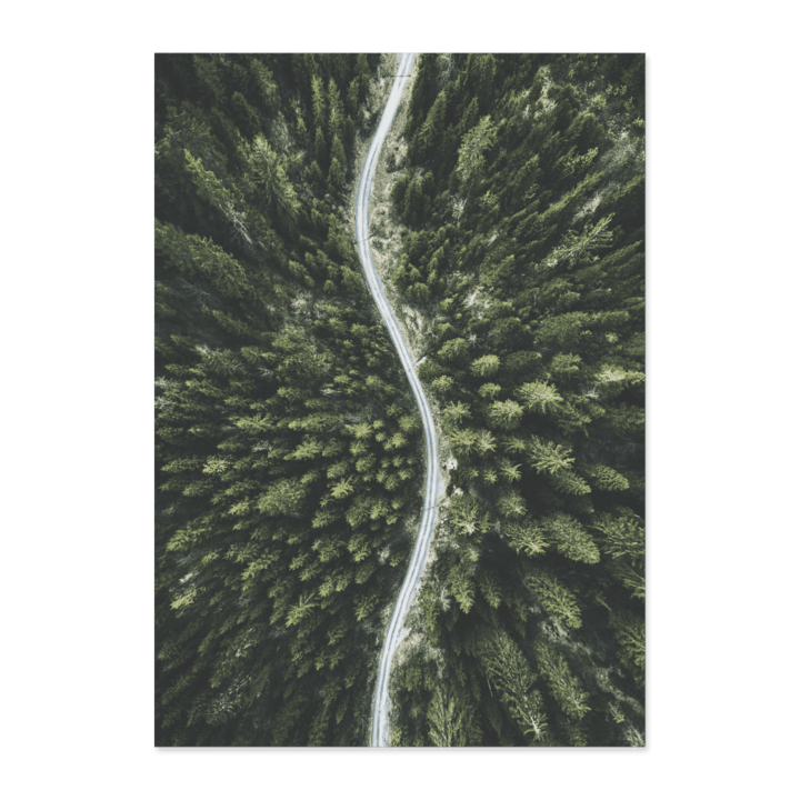 Poster van boven met bomen Poster van boven met bomen