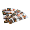 Fotostrips ontwerpen