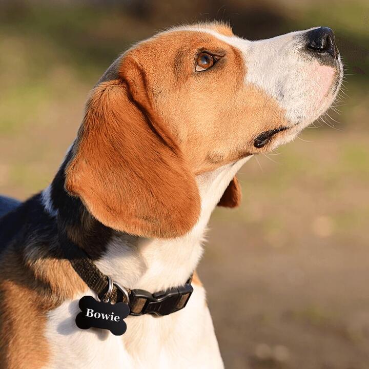 Créez des cadeaux uniques ! Créez des cadeaux uniques !