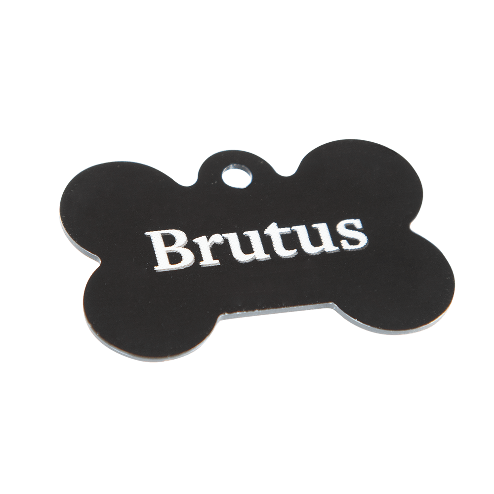 Une plaque d’identification pour chien Créer sa propre plaque pour