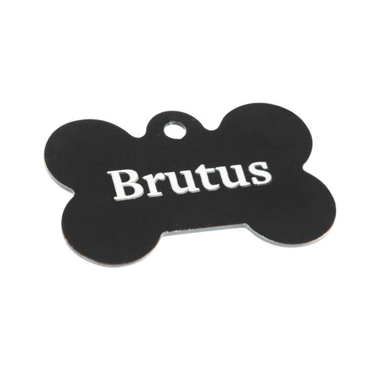 Hondenpenning cadeau