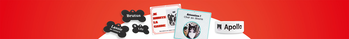 Animaux