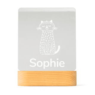 Lampe en plexiglas Lampe en plexiglas