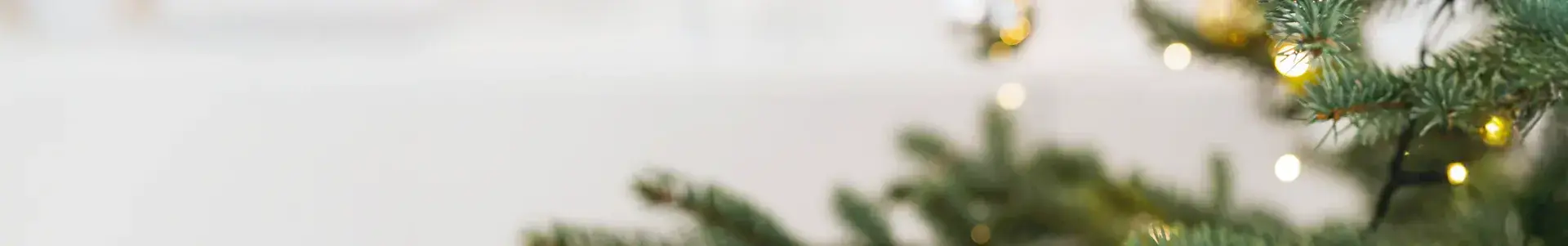 Suspensions de Noël