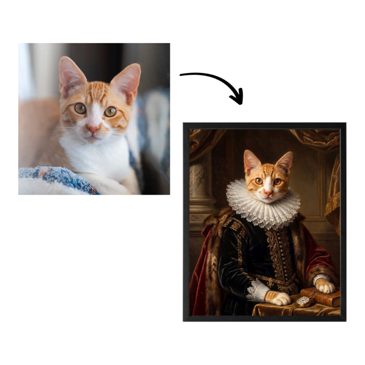 Photo Input Output Royal dans un cadre