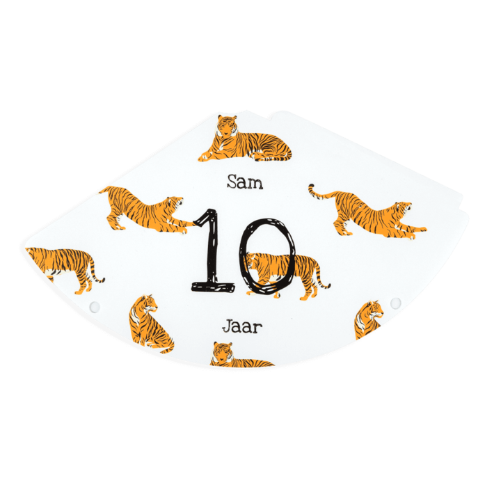 Bedrukte feesthoedjes