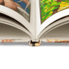 Eco Fotoboek ontwerp Eco Fotoboek ontwerp