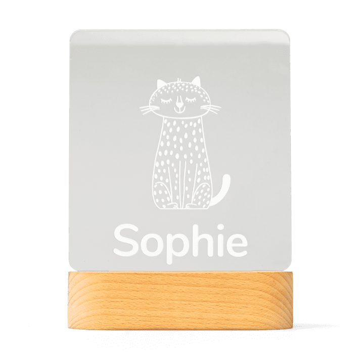 Gepersonaliseerd plexiglas lampje