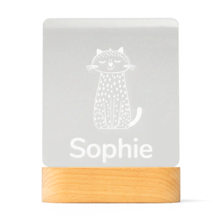 Plexiglas lampje Plexiglas lampje