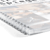 proefschrift